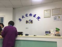 -康成宠物医院24H·CT·核磁共振