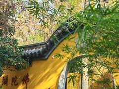 -灵谷景区