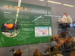 -昆明动物博物馆