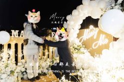 -迈瑞米求婚策划(静安店)