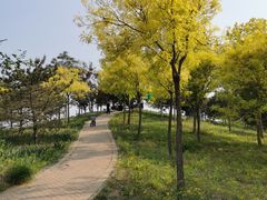 -东郊湿地公园