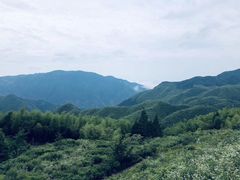 -江南天池