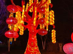 -武汉园博园(武汉自然博物馆)