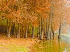 -厦门园林博览苑