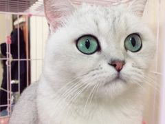 -青春加萌照相馆