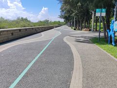 -宝安西湾红树林湿地公园