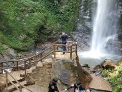 -莫里热带雨林景区