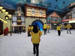 -世界之窗阿尔卑斯冰雪世界