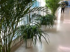 -北京中医药大学东直门医院(通州院区)
