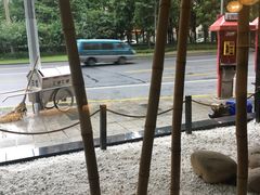 -全季酒店(上海徐家汇肇嘉浜路店)