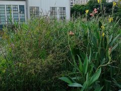 -苏州河梦清园环保主题公园