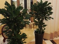 -南通金石国际大酒店