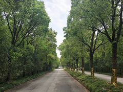 -上海海湾国家森林公园