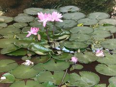 -云溪植物园