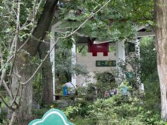 -南京老山国家森林公园