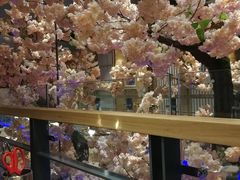 -金石青云炭火烤肉店(中房上东花墅店)