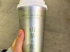 -雾与山茶(大禹城店)