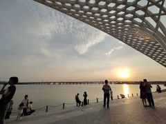 -宝安西湾红树林湿地公园