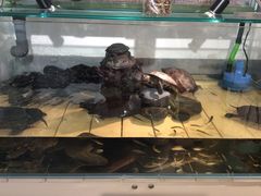 -甜心闲生传统手工冰粉(奎星楼店)