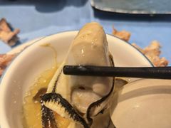 -千岛蚝高压锅生蚝·人参火锅(白云万达店)