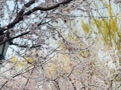 -春风习习