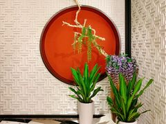 -圆苑(金茂店)