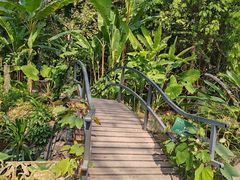 -中国科学院西双版纳热带植物园
