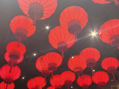 -二胖家铁锅炖大鹅(双井店)