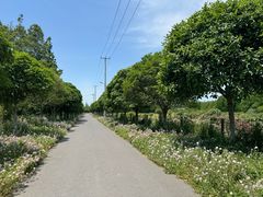 -上海长兴岛郊野公园