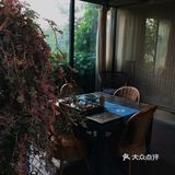 店铺里面超级适合拍照的地方。非常多的绿色植物在里面