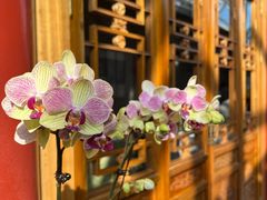 -北京古城老院厉晓麟精致菜