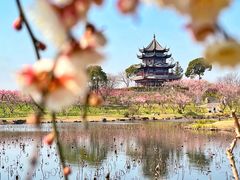 -上海海湾国家森林公园