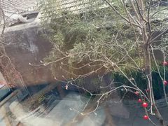 -巴巴新生活·四合院会议·疗愈团建.品牌活动