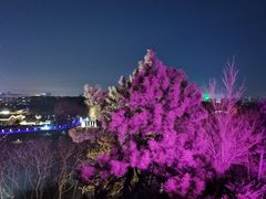 -莫子山公园