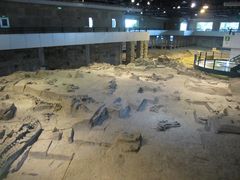 -自贡恐龙博物馆