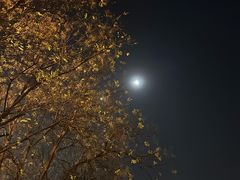 -孙庆海腊牛肉店(大皮院店)