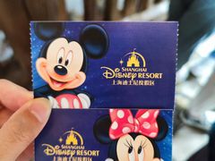 -上海迪士尼度假区