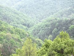 -素山寺森林公园