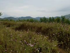 -白鹿原影视城
