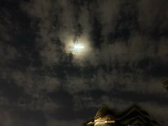 -天河体育中心游泳馆