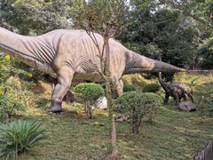 -自贡恐龙博物馆