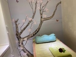 -梵茜儿·头道汤养生馆