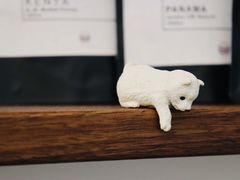 景观位-Onirii Coffee(长乐路店)