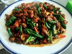 -食鸡公社辣子鸡·潍坊菜·烧烤