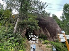 -玉苍山国家森林公园