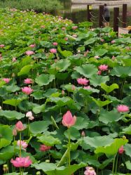 -大望京儿童游乐场