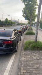 -蚂蚁婚车