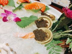 -黑松白鹿(崇文门新活馆店)