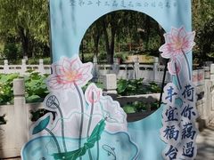 -莲花池公园