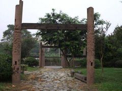 -神仙树公园